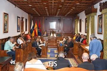  La lucha contra la lacra machista se sube al taxi en Telde/Francisco Javier Santana.